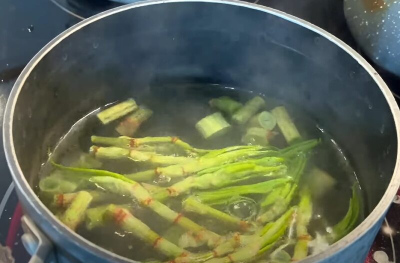 Knotweed boiling in water