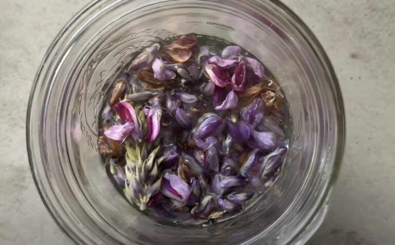 Glass jar containing kudzu flowers