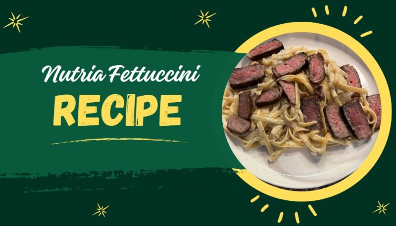 Nutria fettuccini recipe on a green background